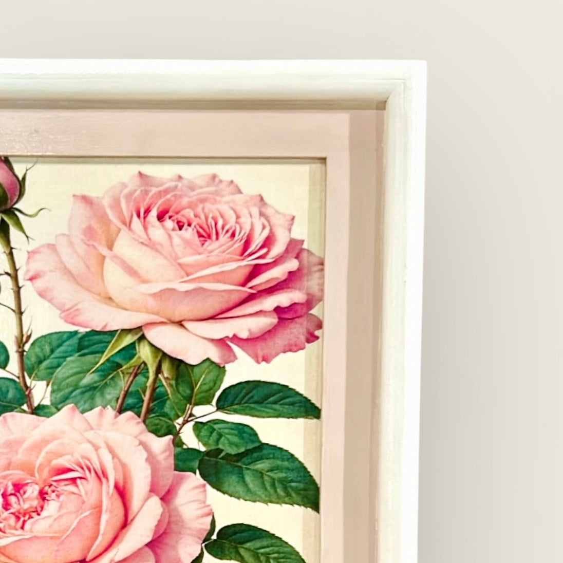 Soft Pink Roses in White Frame - 12x9 | Wall art