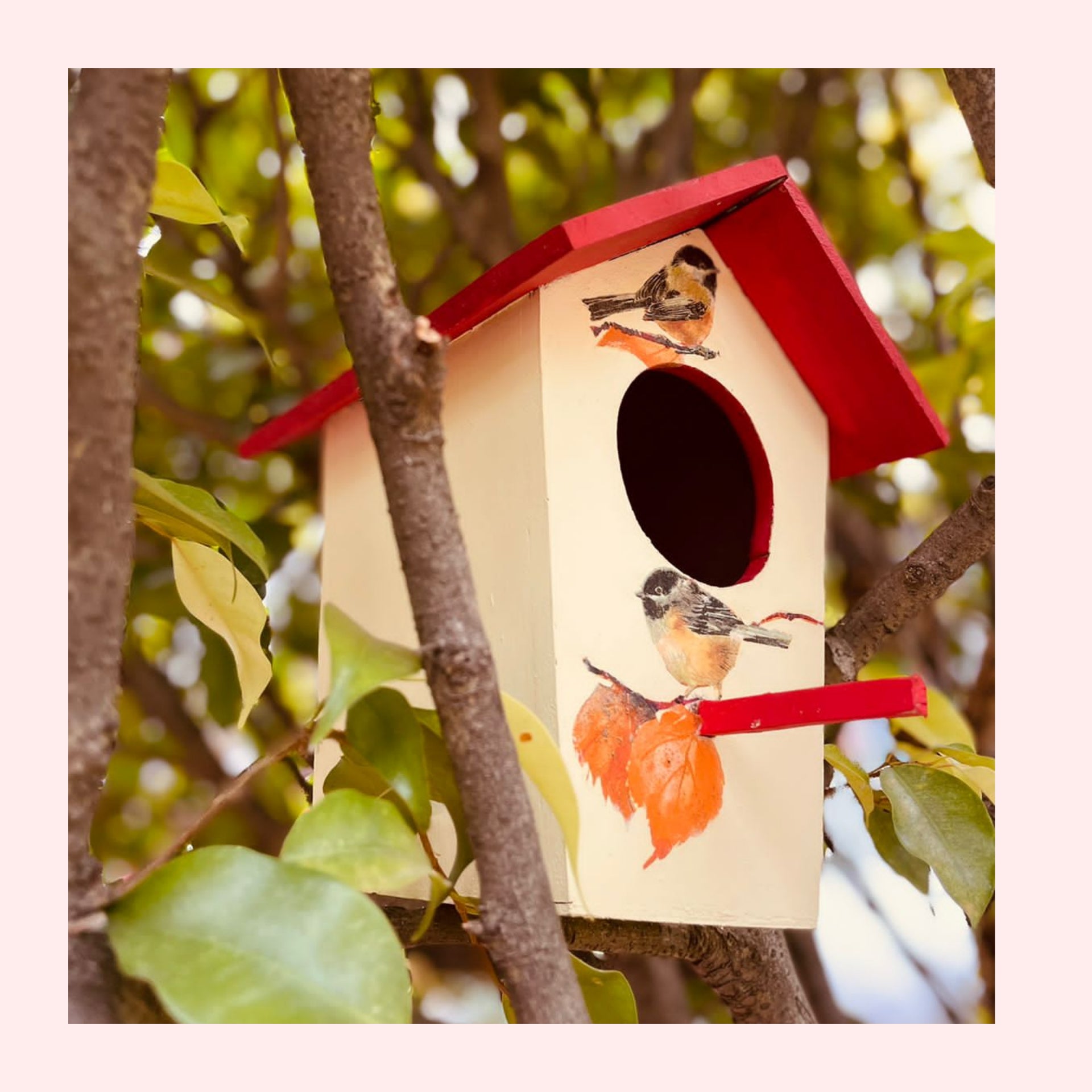 Wooden Outdoor decor birdhouse